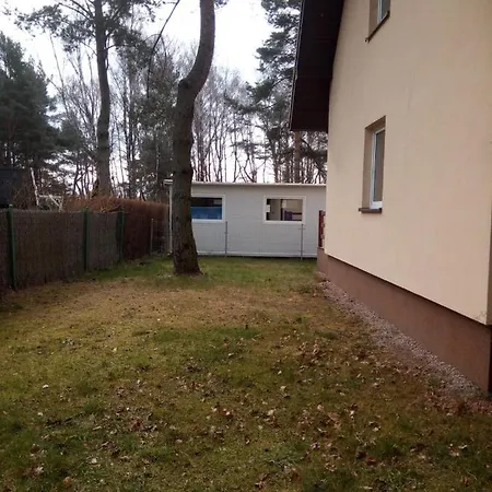 Domimat-lila